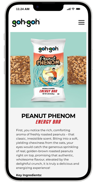goh-goh-website-design-development